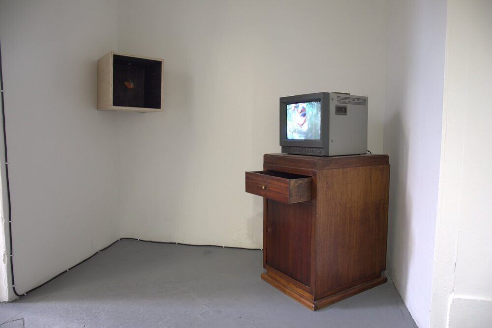 Piranha, sound installation, London, installation view
